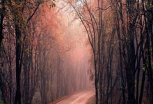 蜂鸟竞技官网：[德甲]吉拉西进球 斯图加特战胜奥格斯堡.