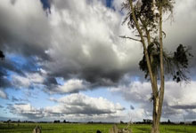 埃及10塞拉利昂，齐佐打进全场唯一进球.