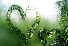 外媒:印尼有意归化荷甲乌德勒支前锋乔纳森斯,身价万欧.