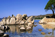 记者：国足战澳大利亚杨泽翔、徐皓阳有可能获得更多出战时间.